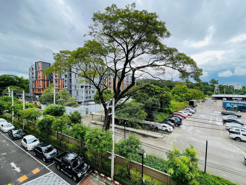 รูป ขายด่วน ราคาดีมาก ดีคอนโดนิม ติดเซ็นทรัลเชียงใหม่ ห้องสวยพร้อมอยู่ โทร 082-389-9314 บู - รูปที่ 21/25