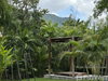 listing thumbnail image 63