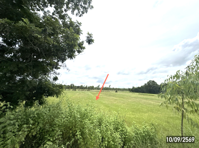 picture LAND 4616 Sq.w. Khuang Nai Ubon Ratchathani for 3.5M - 5/19