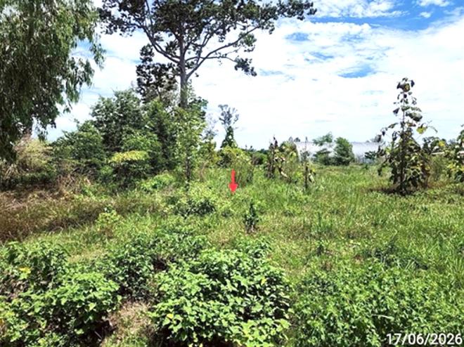 picture LAND 2113.1 Sq.w. Muang Roi Et Roi Et for 4.5M - 5/15