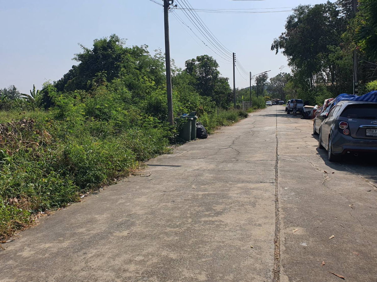 รูป ที่ดินแปลงสวย 210 ตร.ว. หน้ากว้าง ทำเลสงบ เหมาะสร้างบ้านในฝัน - รูปที่ 2/11