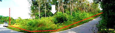 ที่ดินว่างเปล่า 8260 ตร.วา รามัน ยะลา 3.2M