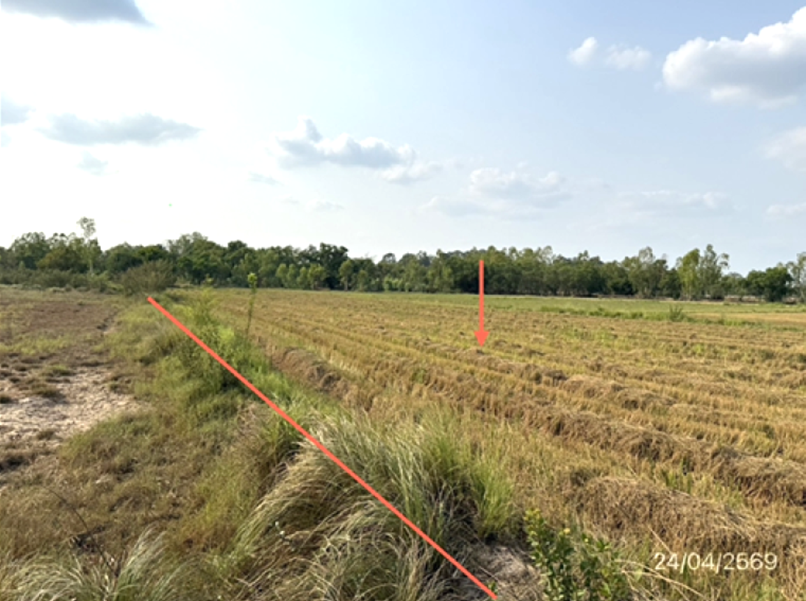 picture LAND 3788 Sq.w. Muang Ubon Ratchathani Ubon Ratchathani for 3.8M - 18/25