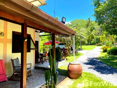 Houses for sale Ko Samui Surat Thani : 4 Bedroom House for sale in Maenam, Surat Thani  6905153