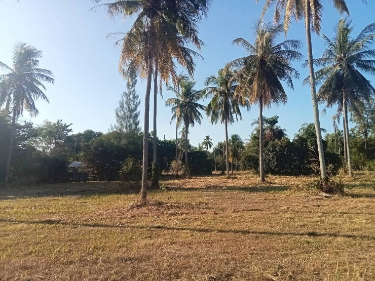 picture 15-rai plot of land for sale in Ban Bueng District, Chon Buri | Suitable for long-term investment - 4/7
