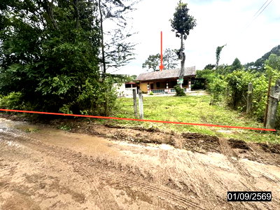 บ้านเดี่ยว ศรีสะเกษ : บ้านเดี่ยว 200 ตร.วา ขุขันธ์ ศรีสะเกษ 1.6M
