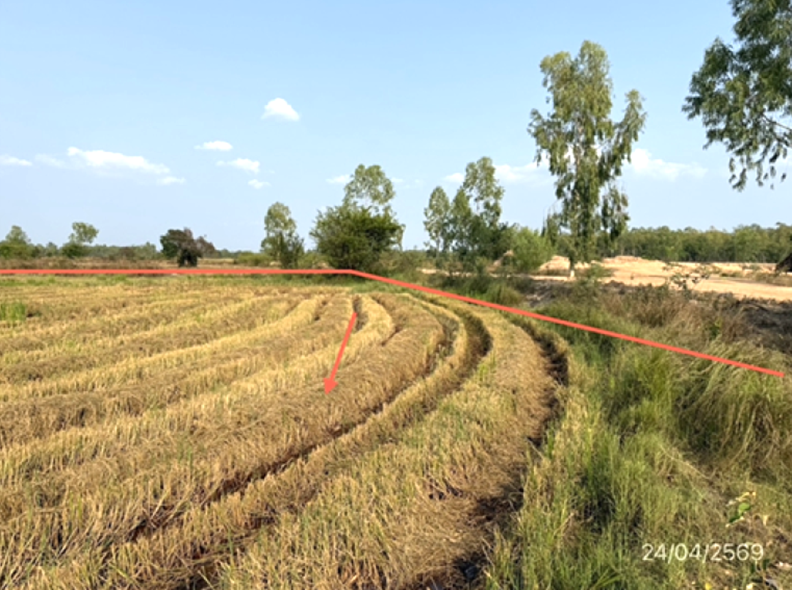 picture LAND 3788 Sq.w. Muang Ubon Ratchathani Ubon Ratchathani for 3.8M - 19/25