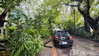 listing thumbnail image 18