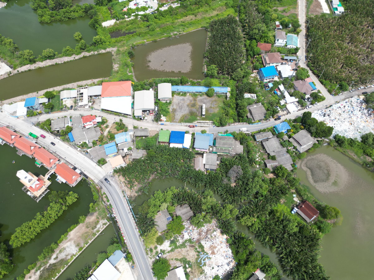 รูป ขายที่ดิน พร้อมสิ่งปลูกสร้าง 627 ตรว. ผังสีม่วง ใกล้วัดคู่สร้าง ใกล้ อบต.คลองปลากด อ.พระสมุทรเจดีย์ จ.สมุทรปราการ ราคาดีมาก ขายถูกมาก - รูปที่ 6/38