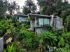 listing thumbnail image 47