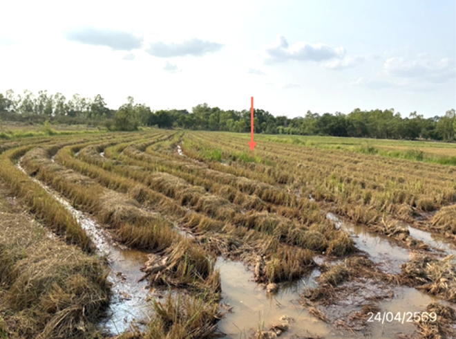 picture LAND 3788 Sq.w. Muang Ubon Ratchathani Ubon Ratchathani for 3.8M - 7/25