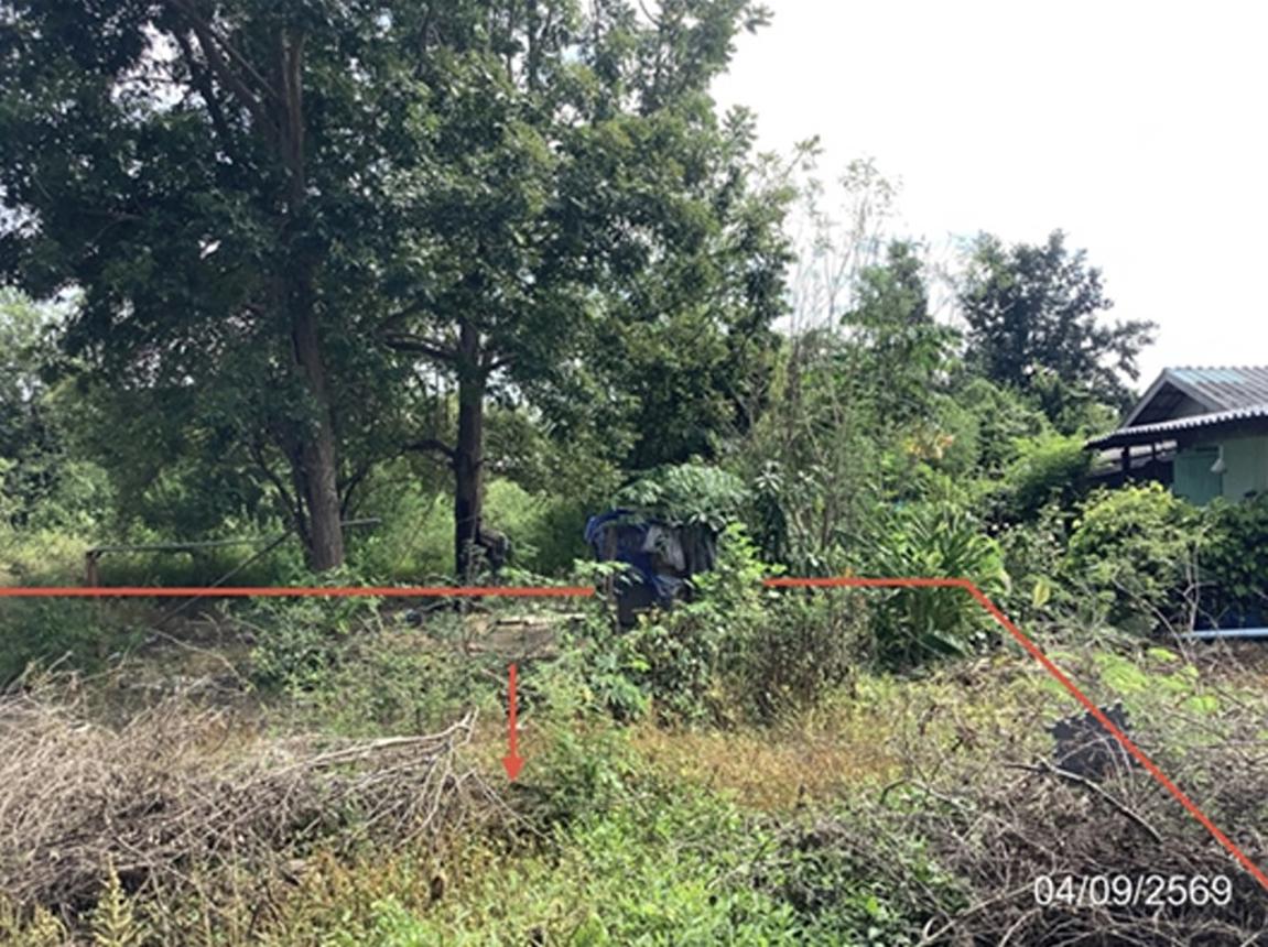 picture LAND 268 Sq.w. Khanu Woralaksaburi Kamphaeng Phet for 978,000 - 14/21
