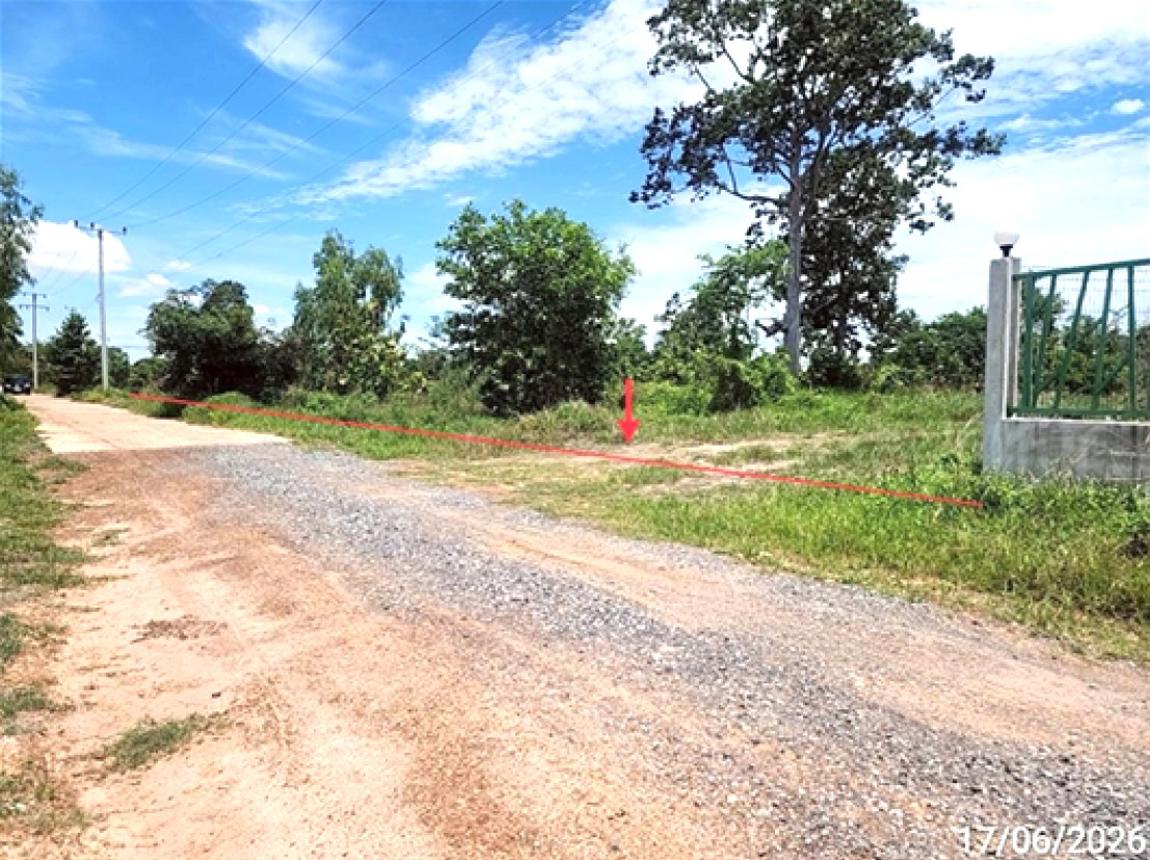 picture LAND 2113.1 Sq.w. Muang Roi Et Roi Et for 4.5M - 8/15