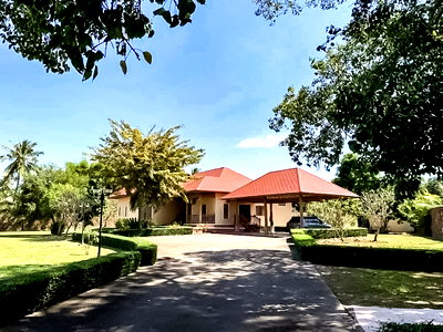 ที่ดิน บางละมุง ชลบุรี : Land for Sale Pong East Pattaya Near Mabprachan LS4671