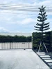 listing thumbnail image 10