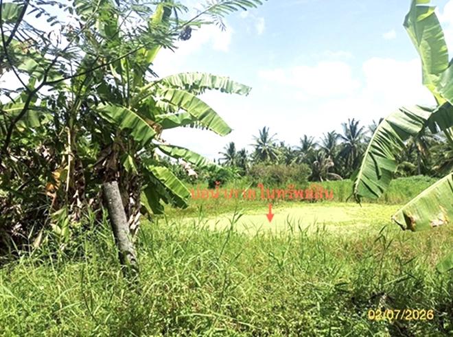 รูป บ้านเดี่ยว 1563 ตร.วา ปากพนัง นครศรีธรรมราช 1.8M - รูปที่ 9/23