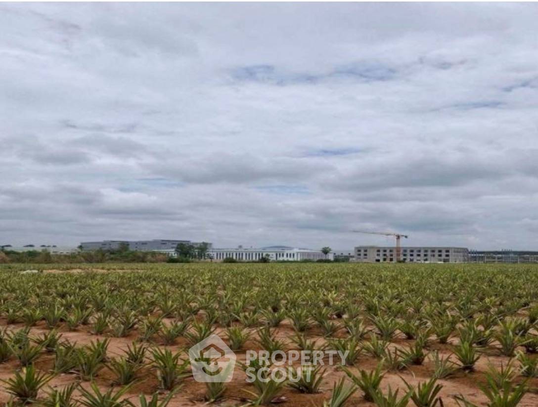 picture Land For Sale In Khao Khan Song, Si Racha, Chon Buri (ID 3469410) - 2/3