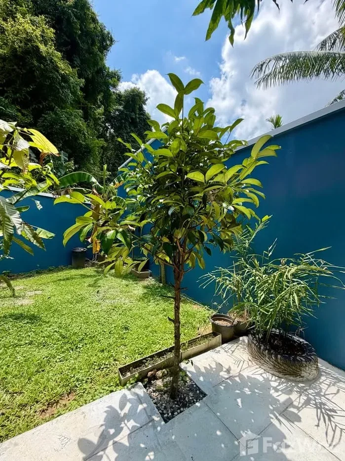 picture 2 Bedroom House for rent in Kathu, Phuket 6908562 - 2/24