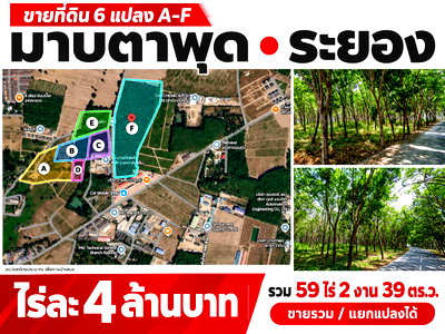 ที่ดิน ศาลากลางจังหวัดระยอง : "ด่วน! ขายที่ดินมาบตาพุด ระยอง ไร่ละ 4 ล้าน | แบ่ง 6 แปลง เลือกได้  ติดถนนสายหลัก เดินทางง่าย ท่าเรือ-สนามบินครบ"