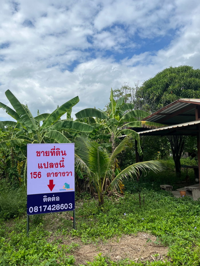 รูป 95553 - ขาย ที่ดินเปล่า 156 ตร.ว. คลองพระราชาพิมล อ.บางบัวทอง จ.นนทบุรี - รูปที่ 1/11