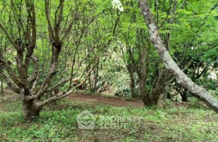 picture 48,000 m² Land for Sale in Pa Miang (ID 3467774) - 3/3