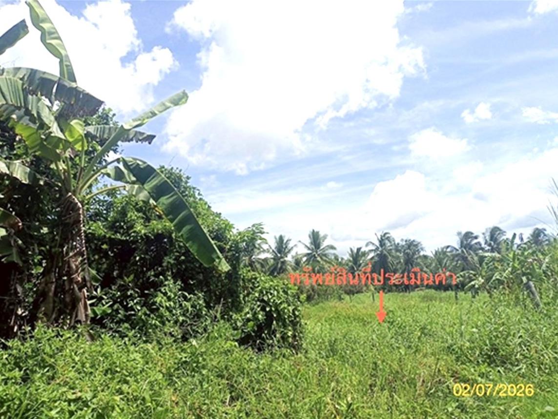 รูป บ้านเดี่ยว 1563 ตร.วา ปากพนัง นครศรีธรรมราช 1.8M - รูปที่ 16/23