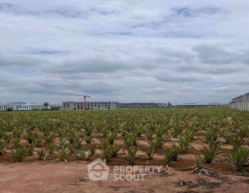 picture Land For Sale In Khao Khan Song, Si Racha, Chon Buri (ID 3469410) - 3/3