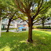 listing thumbnail image 18