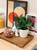listing thumbnail image 11