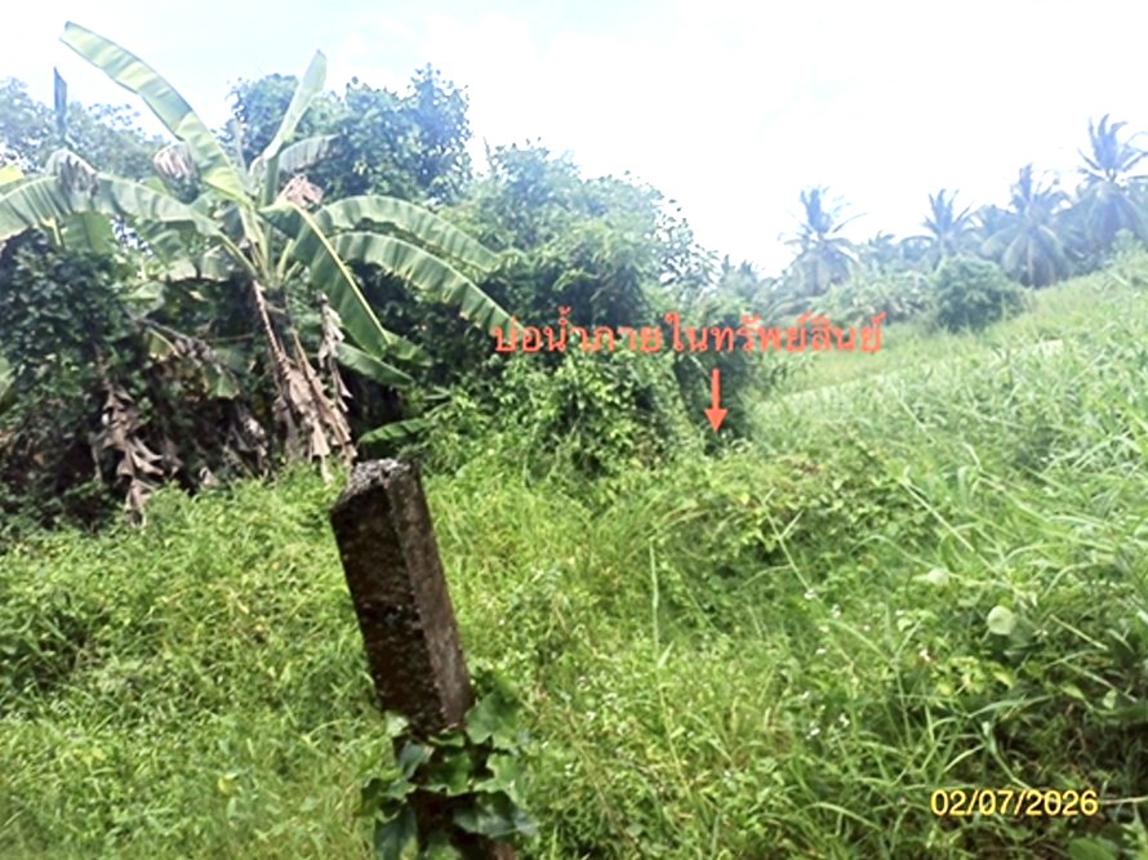 รูป บ้านเดี่ยว 1563 ตร.วา ปากพนัง นครศรีธรรมราช 1.8M - รูปที่ 19/23