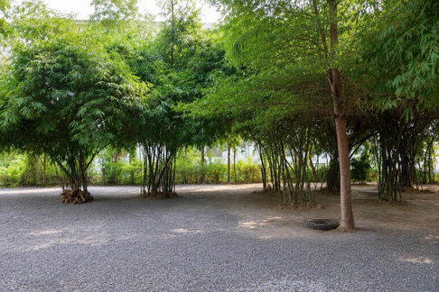 ขายที่ดินเปล่า 123.2 ตร.ว. (แปลงC) คานหาม อุทัย อยุธยา ใกล้โรจนะ มีไผ่หวาน ราคา 1.49 ล้านบาท