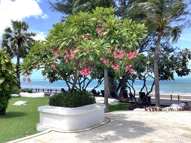 picture CONDO 87.91 Sq.m. Hua Hin Prachaubkirikhan for 6.1M - 13/29