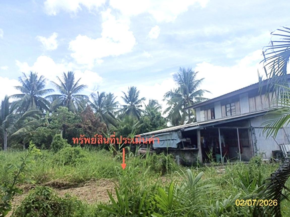รูป บ้านเดี่ยว 1563 ตร.วา ปากพนัง นครศรีธรรมราช 1.8M - รูปที่ 14/23