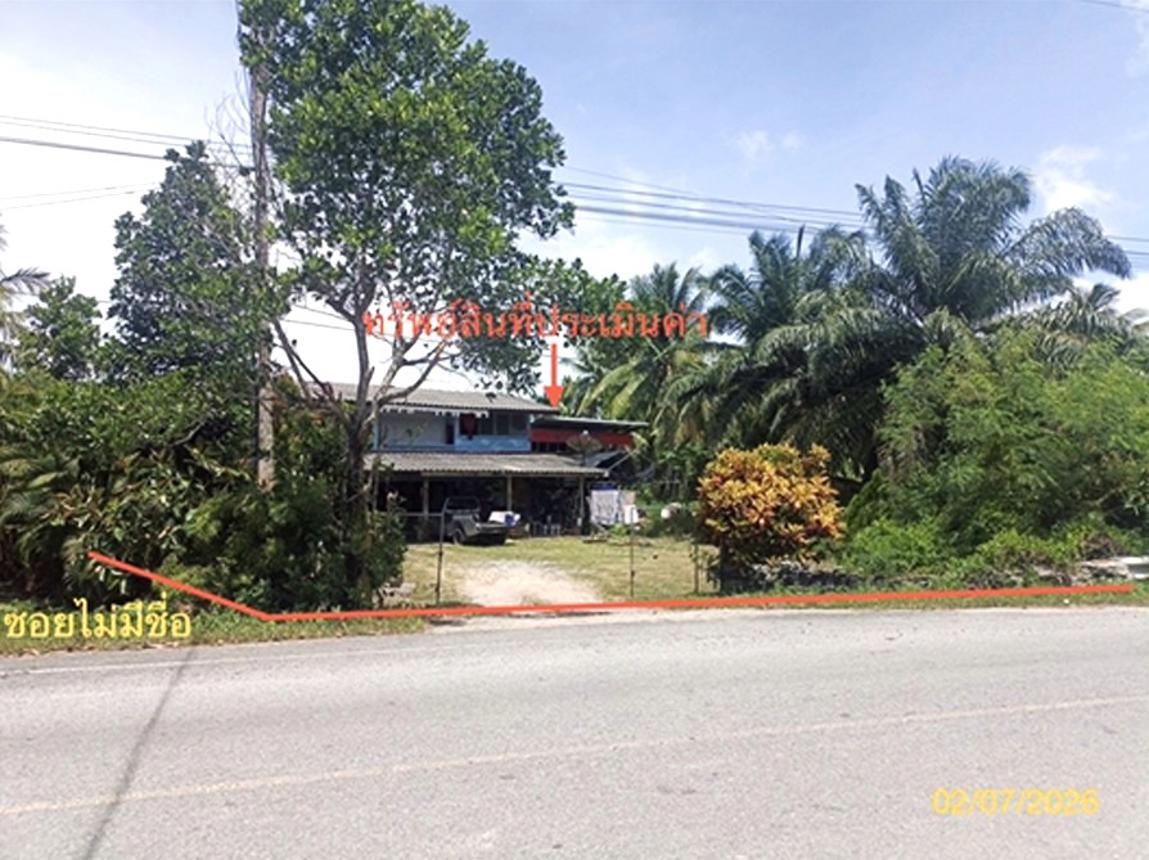 รูป บ้านเดี่ยว 1563 ตร.วา ปากพนัง นครศรีธรรมราช 1.8M - รูปที่ 11/23
