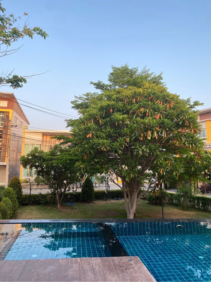 รูป 📣🏡 ให้เช่าทาวน์โฮม สุวรรณภูมิทาวน์ @หัวตะเข้ ☎️ติดต่อ คุณหย๊ะ 📞 093-4419156 ID Line : @928zbfqq - รูปที่ 7/8