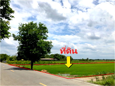 Land for sale Chulalongkorn University : Land for sale in Nakhon Nayok, Khlong 16. Beautiful plot, 200 sq.wa. ideal for building a house. Near Srinakharinwirot University,