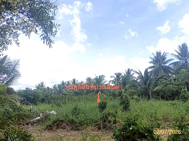 รูป บ้านเดี่ยว 1563 ตร.วา ปากพนัง นครศรีธรรมราช 1.8M - รูปที่ 6/23