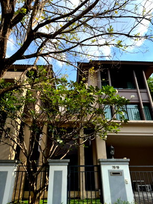 บ้านเดี่ยวให้เช่า : ให้ เช่า บ้านเดี่ยวหรู 3 ชั้น แกรนด์ บางกอก บูเลอวาร์ด รัชดา-รามอินทรา 129.6 ตรว แต่งครบพร้อมอยู่