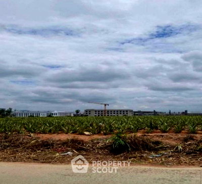 ที่ดิน เหมราชอีสเทิร์นซีบอร์ด : ที่ดินสำหรับขาย ทำเลเขาขันซอง ศรีราชา ชลบุรี (ID 3469410)
