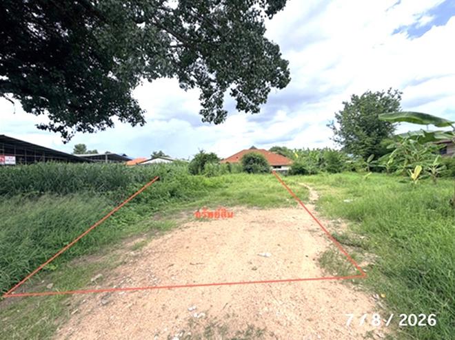 picture LAND 104.6 Sq.w. Saraphi Chiang Mai for 1.5M - 4/13