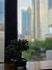 listing thumbnail image 7