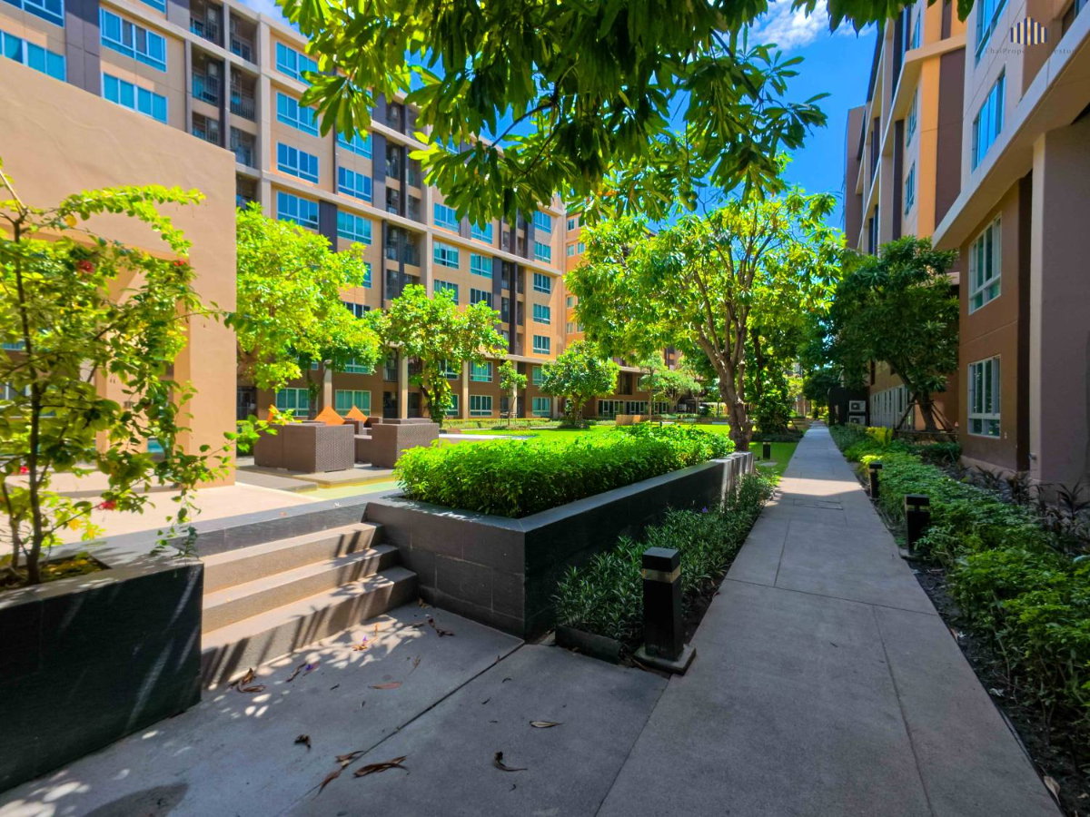 picture Urgent Sale! D condo campus resort Rangsit Building C, 6th Floor, - 14/17