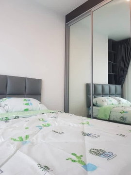 🌳🌳For rent the tree sukhumvit 71 🌳🌳 ห้องสวย พร้อมอยู่ แต่งสวย จัดเต็ม มีหลายห้องให้เลือกชม ID LINE : @190evxgl