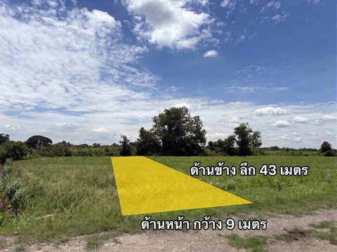 99082 - ขายที่ดินเปล่าแปลงสวย 100 ตารางวา ถนนคุณหม่อม อ.องครักษ์ จ.นครนายก ใกล้มหาวิทยาลัยศรีนครินทรวิโรฒ (มศว) ประสานมิตร องครักษ์