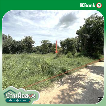 picture LAND 1602 Sq.w. Kosum Phisai Maha Sarakham for 2.4M - 15/17