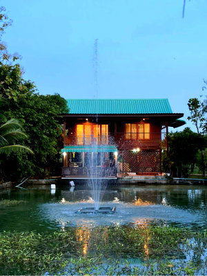 Houses for sale Lamphun : House for Sale with 5 Rai of Land, Surrounded by Panoramic Mountain Views | Ban Thi , Lamphun