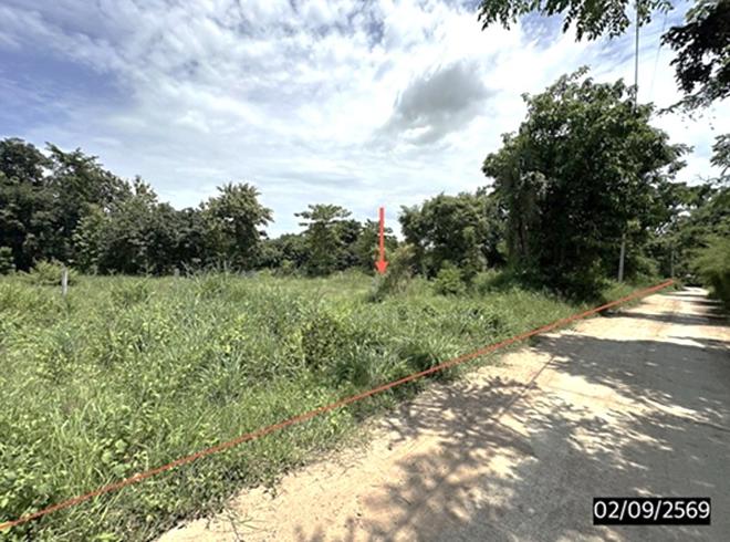 picture LAND 1602 Sq.w. Kosum Phisai Maha Sarakham for 2.4M - 1/17