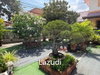 listing thumbnail image 35