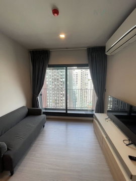 ให้เช่าคอนโด ไลฟ์ อโศก ไฮป์ อาคาร 1 ชั้น 31 1 ห้องนอน ขนาด 32 ตรม ใกล้ Fortune Town