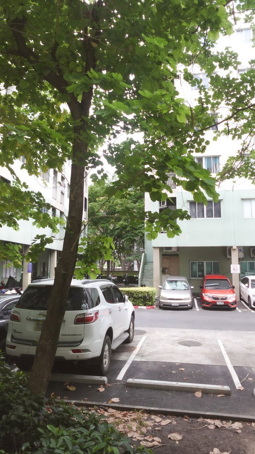 รูป ลุมพินีคอนโดทาวน์ บดินทรเดชา - รูปที่ 20/25